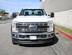 2024 Ford F-450 Regular Cab DRW 4x2, Cab Chassis for sale #CF424223 - photo 4