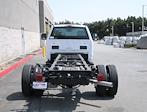 2024 Ford F-550 Regular Cab DRW 4x2, Cab Chassis for sale #CF524502 - photo 5