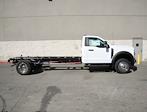 2024 Ford F-550 Regular Cab DRW 4x2, Cab Chassis for sale #CF524638 - photo 3