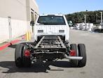 2024 Ford F-550 Regular Cab DRW 4x2, Cab Chassis for sale #CF524638 - photo 5