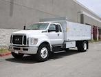 2024 Ford F-650 Super Cab DRW 4x2, Scelzi Landscape Dump for sale #CF624175 - photo 8