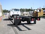 2024 Ford F-650 Crew Cab DRW 4x2, Cab Chassis for sale #CF624236 - photo 6