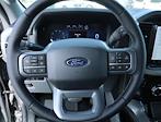 2024 Ford F-150 SuperCrew Cab 4x2, Pickup for sale #F124132 - photo 15