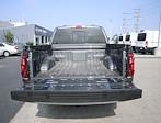 2024 Ford F-150 SuperCrew Cab 4x2, Pickup for sale #F124132 - photo 24