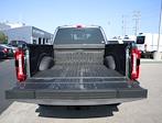 New 2024 Ford F-250 Lariat Crew Cab 4x4, Pickup for sale #F224385 - photo 24