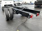 New 2024 Ford F-650 Base Regular Cab 4x2, Cab Chassis for sale #23-1304 - photo 8