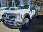 2024 Ford F-450 Regular Cab DRW 4x2, Cab Chassis for sale #245345 - photo 2