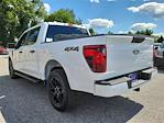 New 2024 Ford F-150 STX SuperCrew Cab 4x4, Pickup for sale #245829 - photo 4