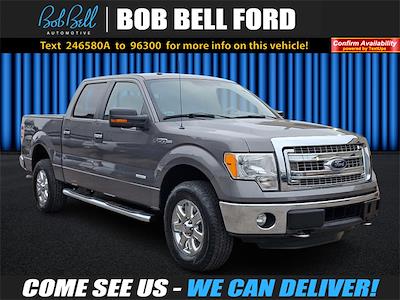 2014 Ford F-150 SuperCrew Cab 4x4, Pickup for sale #246580A - photo 1