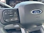 2024 Ford F-250 Regular Cab SRW 4x4, Pickup for sale #CR11742 - photo 15