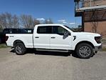 2024 Ford F-150 SuperCrew Cab 4WD, Pickup for sale #CR11959 - photo 3