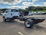 2024 Chevrolet Silverado 6500 Regular Cab DRW 4WD, Cab Chassis for sale #N076897 - photo 4