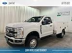 2024 Ford Super Duty F-350 DRW F-350® XL for sale #F211100 - photo 5