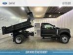 New 2024 Ford F-550 XL Regular Cab 4x4, 9' 3" Rugby Eliminator LP Steel Dump Truck for sale #F211887 - photo 20