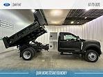 New 2024 Ford F-550 XL Regular Cab 4x4, 9' 3" Rugby Eliminator LP Steel Dump Truck for sale #F211887 - photo 21