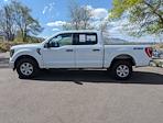 2023 Ford F-150 SuperCrew Cab 4WD, Pickup for sale #27438 - photo 9