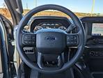 2023 Ford F-150 SuperCrew Cab 4WD, Pickup for sale #623240 - photo 13