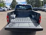 2023 Ford F-150 SuperCrew Cab 4WD, Pickup for sale #623303 - photo 10
