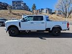 2024 Ford F-250 Crew Cab SRW 4WD, Pickup for sale #644024 - photo 8