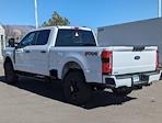 2024 Ford F-250 Crew Cab SRW 4WD, Pickup for sale #644024 - photo 10