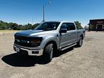 New 2024 Ford F-150 XLT SuperCrew Cab 4WD, Pickup for sale #DT4299 - photo 6