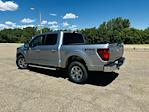 New 2024 Ford F-150 XLT SuperCrew Cab 4WD, Pickup for sale #DT4299 - photo 8