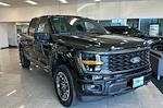 New 2024 Ford F-150 STX SuperCrew Cab 4WD, Pickup for sale #RFA29221 - photo 8