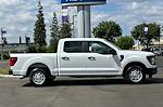 2024 Ford F-150 SuperCrew Cab RWD, Pickup for sale #RKD50196 - photo 4