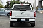 New 2024 Ford F-150 STX Super Cab RWD, Pickup for sale #RKE12423 - photo 13