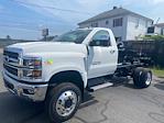 2024 Chevrolet Silverado 5500 Regular Cab DRW 4x4, Cab Chassis for sale #RH262412 - photo 3