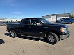 Used 2013 Ford F-150 XLT SuperCrew Cab 4WD, Pickup for sale #5729A - photo 5