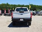 2024 Ford F-350 Regular Cab SRW 4x4, Pickup for sale #04T2009 - photo 13