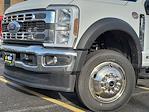 2024 Ford F-450 Regular Cab DRW 4WD, Cab Chassis for sale #240411 - photo 4