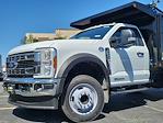 New 2024 Ford F-450 Regular Cab RWD, Reading Landscaper SL Landscape Dump for sale #240605 - photo 8