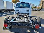 2024 Ford F-550 Regular Cab DRW 4WD, Cab Chassis for sale #241470 - photo 4