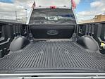 2023 Ford F-250 Crew Cab SRW 4WD, Pickup for sale #X14180 - photo 32