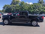 New 2024 Ford F-150 XLT SuperCrew Cab 4x4, Pickup for sale #FH24287 - photo 6