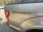 Used 2020 Ford F-150 XLT SuperCrew Cab 4x2, Pickup for sale #CFH24339A - photo 6