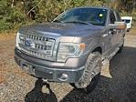 Used 2014 Ford F-150 XLT SuperCrew Cab 4x4, Pickup for sale #H241045B - photo 3