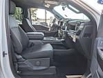 New 2024 Ford F-150 STX SuperCrew Cab 4x4, Pickup for sale #H241046 - photo 23