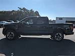 2024 Ford F-150 SuperCrew Cab 4x4, Pickup for sale #H24797 - photo 6