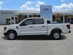 New 2024 Ford F-150 XL SuperCrew Cab 4x2, Pickup for sale #RKE74893 - photo 6