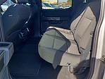2023 Ford F-150 SuperCrew Cab 4x4, Pickup for sale #QT85700 - photo 17