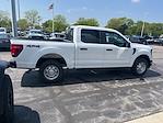 2024 Ford F-150 SuperCrew Cab 4x4, Pickup for sale #RT08859 - photo 11