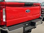 New 2024 Ford F-350 Regular Cab 4WD, Pickup for sale #REE98054 - photo 5