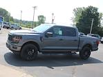 New 2024 Ford F-150 STX SuperCrew Cab 4x4, Pickup for sale #RF110 - photo 1