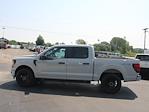 New 2024 Ford F-150 STX SuperCrew Cab 4x4, Pickup for sale #RF128 - photo 5