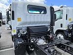 New 2024 Chevrolet LCF 5500HG Regular Cab 4x2, Cab Chassis for sale #F1676 - photo 13