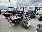 New 2024 Chevrolet LCF 5500HG Regular Cab 4x2, Cab Chassis for sale #F1678 - photo 6