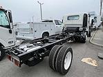 New 2024 Chevrolet LCF 5500HG Regular Cab 4x2, Cab Chassis for sale #F1679 - photo 2